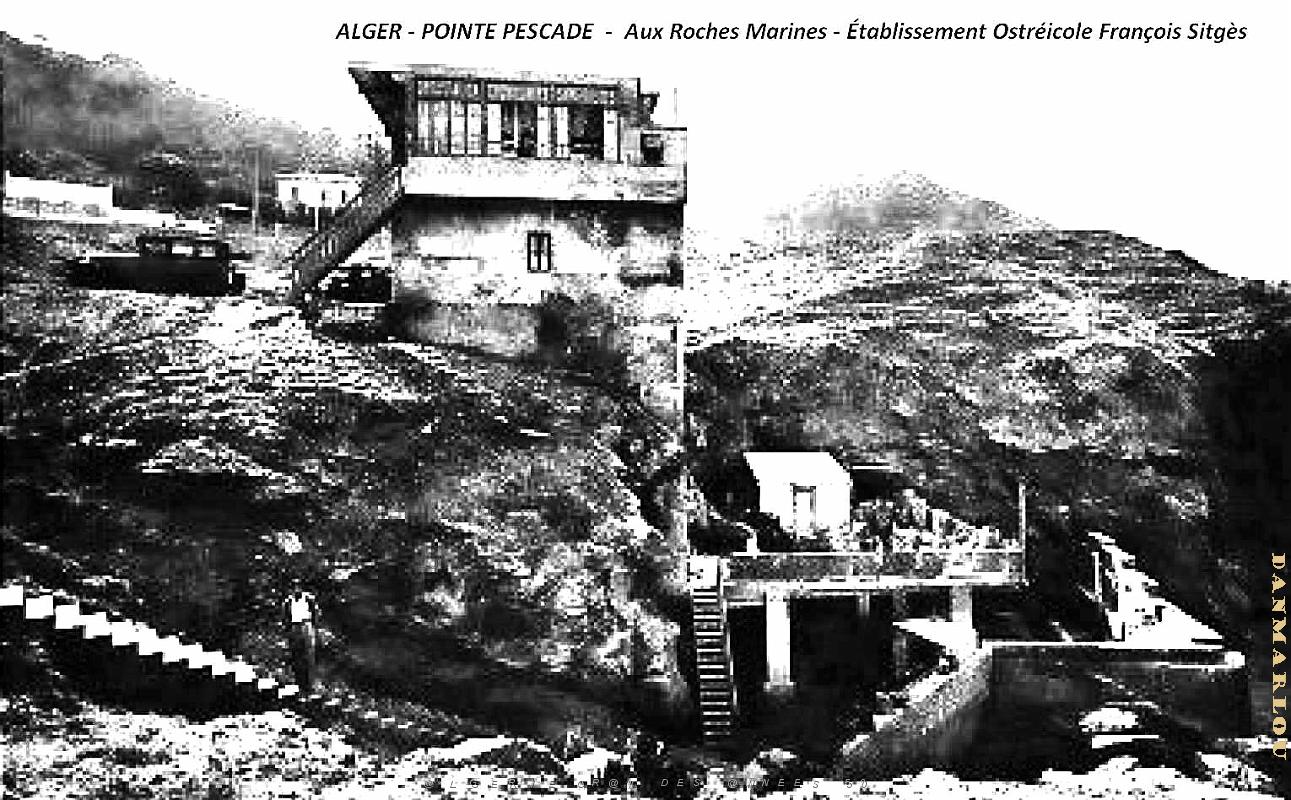 Alger-Pointe-Pescade - Aux Roches Marines - Ets Ostreicole Sitges.jpg